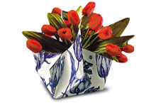 kdoding tulp_rood
